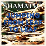 Jumping From Leaf To Leaf