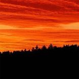 Artwork for "Blonde Dreads"