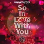 Artwork für "So In Love With You Remixes, Vol. 1"