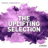 Artwork voor "Redux Presents : The Uplifting Selection, Vol. 2: 2017"