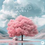 Artwork voor "Awake"