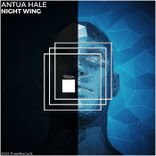 Artwork voor "Night Wing"