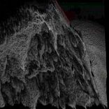 Artwork voor "Planetary Broadcast"