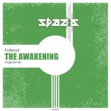 Artwork voor "The Awakening"