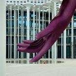 Artwork for "It's a House Day"