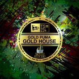 Artwork for "Gold House"