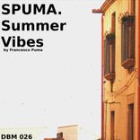 Portada para "Summer Vibes"