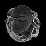 Artwork voor "Nasty Hasty"