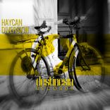 Artwork voor "Diversion"