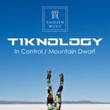 Artwork voor "In Control / Mountain Dwarf"