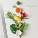 Pressureless Embrace