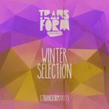 Artwork voor "Winter Selection"