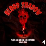 Portada para "Blood Shadow"