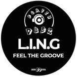 Artwork for "Feel The Groove"