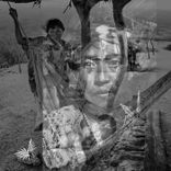 Portada para "Wayuu / Prehispania"