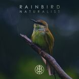 Artwork for "Naturalist"