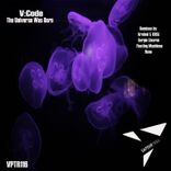 The Universe Was Born