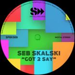 Artwork for "Got 2 Say"