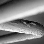 Portada para "Fiend"