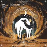 Soul the Night