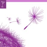 Artwork for "Shake Your Remixes"