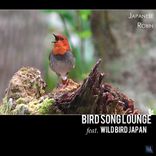 Portada para "Japanese Robin"