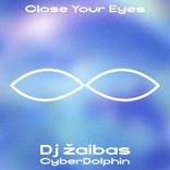 Artwork for "CyberDolphin"