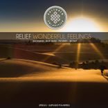 Artwork for "Wonderful Feelings"