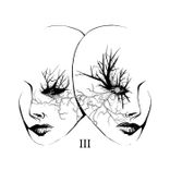 The Paradigm Of The Mussel