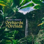 Artwork voor "Orchards of Orchids"