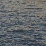 Omniscient Inversion