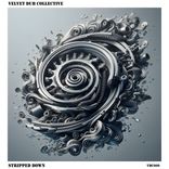 Artwork voor "Stripped Down"