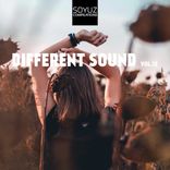 Portada para "Different Sound, Vol. 12"