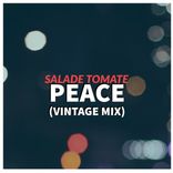 Artwork for "Peace (Vintage Mix)"