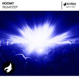 Artwork voor "Trumpstep"