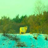 Portada para "Café au Lait"