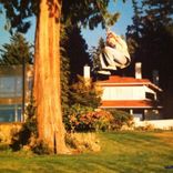 Artwork voor "Particle Bored"