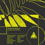 Birds of the Knowledge