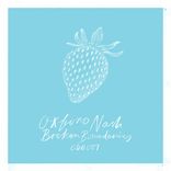 Artwork für "Broken Boundaries"