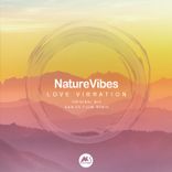Artwork voor "Love Vibration"