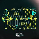 Artwork voor "Amertume"