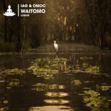 Portada para "Waitomo"