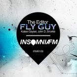 Artwork voor "Fly Guy"