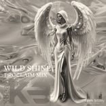 Artwork for "Wild Shine"