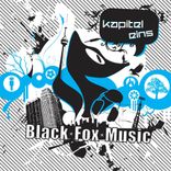 Portada para "Kapitel Eins"