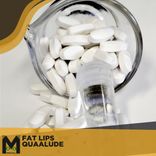 Artwork for "Quaaludes"