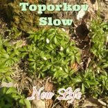 Artwork voor "New Life"