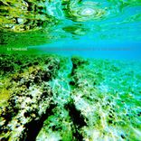 Distortion in This Track, Pt. 2