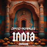 Artwork for "INDIA"