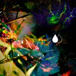 Portada para "Plumas De Paine"